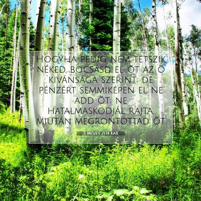 Picture 07 - 5 Mózes 21:14 KAR - Hogyha pedig nem tetszik néked, bocsásd el õt - Bible Verse Picture