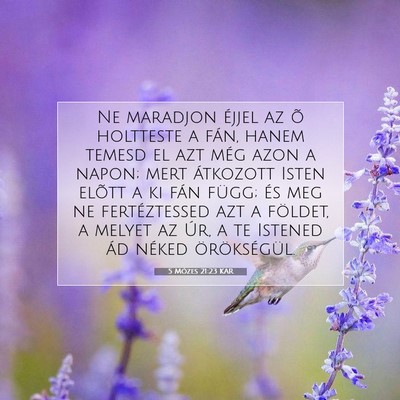 Picture 07 - 5 Mózes 21:23 KAR - Ne maradjon éjjel az õ holtteste a fán, hanem - Bible Verse Picture