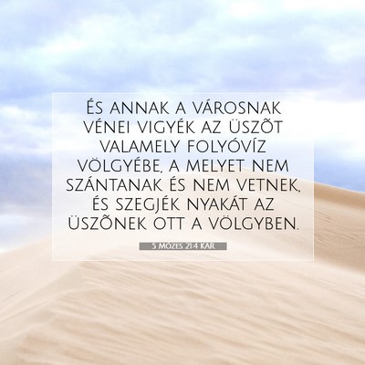 Picture 07 - 5 Mózes 21:4 KAR - És annak a városnak vénei vigyék az üszõt - Bible Verse Picture