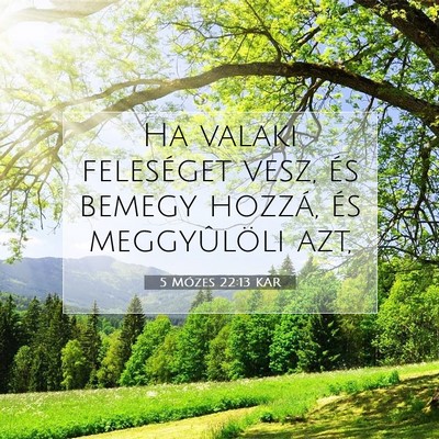 Picture 07 - 5 Mózes 22:13 KAR - Ha valaki feleséget vesz, és bemegy hozzá, és - Bible Verse Picture
