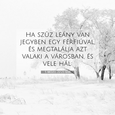 Picture 07 - 5 Mózes 22:23 KAR - Ha szûz leány van jegyben egy férfiúval, és - Bible Verse Picture