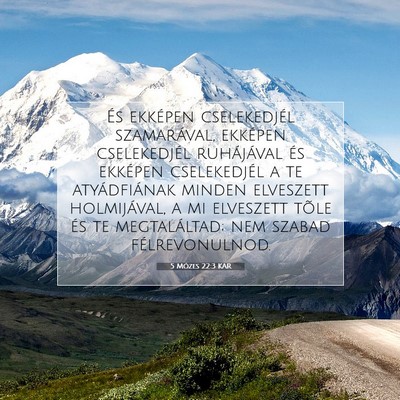 Picture 07 - 5 Mózes 22:3 KAR - És ekképen cselekedjél szamarával, ekképen - Bible Verse Picture