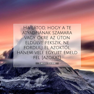Picture 07 - 5 Mózes 22:4 KAR - Ha látod, hogy a te atyádfiának szamara vagy - Bible Verse Picture