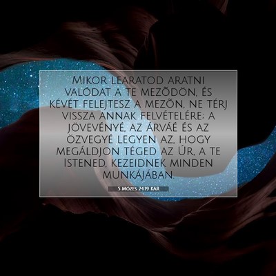 Picture 07 - 5 Mózes 24:19 KAR - Mikor learatod aratni valódat a te mezõdön, - Bible Verse Picture