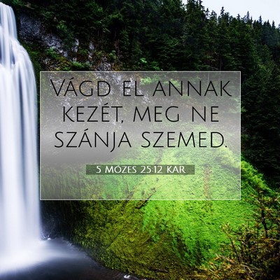 Picture 07 - 5 Mózes 25:12 KAR - Vágd el annak kezét, meg ne szánja - Bible Verse Picture