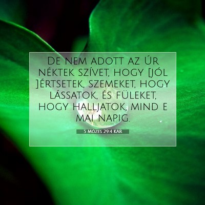 Picture 07 - 5 Mózes 29:4 KAR - De nem adott az Úr néktek szívet, hogy [jól - Bible Verse Picture