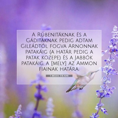 Picture 07 - 5 Mózes 3:16 KAR - A Rúbenitáknak és a Gáditáknak pedig adtam - Bible Verse Picture