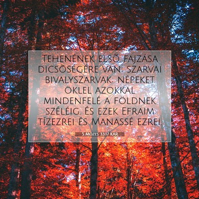 Picture 07 - 5 Mózes 33:17 KAR - Tehenének elsõ fajzása dicsõségére van; - Bible Verse Picture