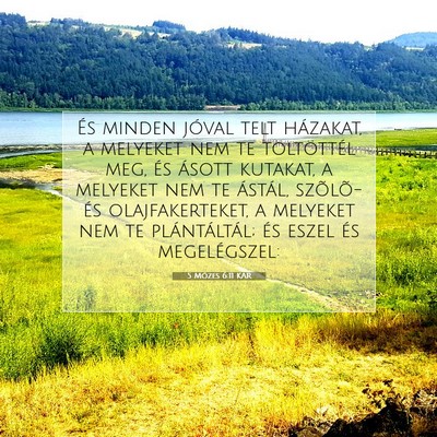 Picture 07 - 5 Mózes 6:11 KAR - És minden jóval telt házakat, a melyeket nem - Bible Verse Picture