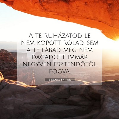 Picture 07 - 5 Mózes 8:4 KAR - A te ruházatod le nem kopott rólad, sem a te - Bible Verse Picture
