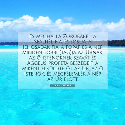 Picture 07 - Aggeus 1:12 KAR - És meghallá Zorobábel, a Sealtiél fia, és - Bible Verse Picture