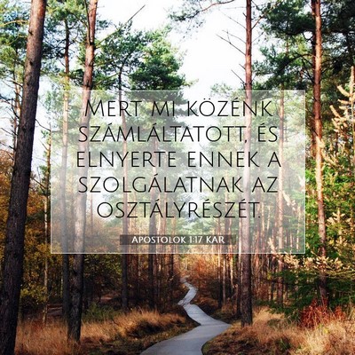 Picture 07 - Apostolok 1:17 KAR - Mert mi közénk számláltatott, és elnyerte - Bible Verse Picture