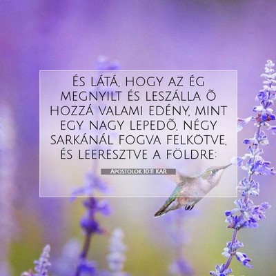 Picture 07 - Apostolok 10:11 KAR - És látá, hogy az ég megnyilt és leszálla õ - Bible Verse Picture