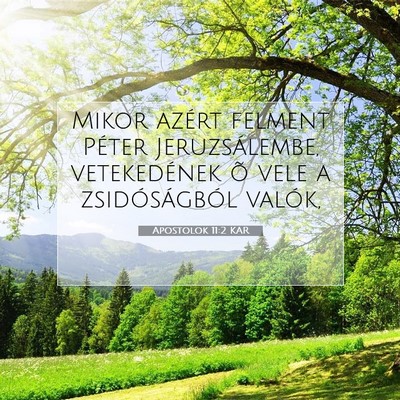 Picture 07 - Apostolok 11:2 KAR - Mikor azért felment Péter Jeruzsálembe, - Bible Verse Picture