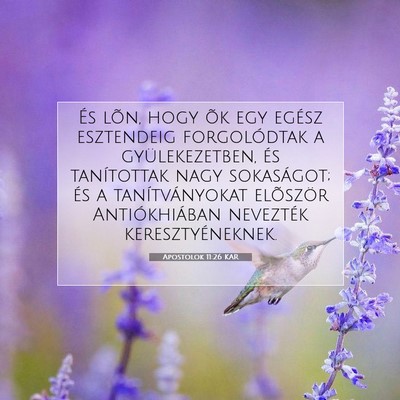 Picture 07 - Apostolok 11:26 KAR - És lõn, hogy õk egy egész esztendeig - Bible Verse Picture