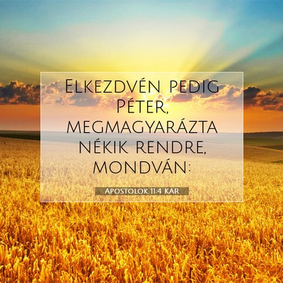 Picture 07 - Apostolok 11:4 KAR - Elkezdvén pedig Péter, megmagyarázta nékik - Bible Verse Picture