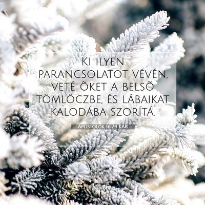 Picture 07 - Apostolok 16:24 KAR - Ki ilyen parancsolatot vévén, veté õket a - Bible Verse Picture