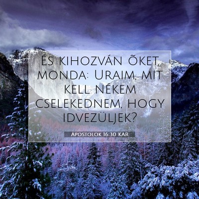 Picture 07 - Apostolok 16:30 KAR - És kihozván õket, monda: Uraim, mit kell - Bible Verse Picture