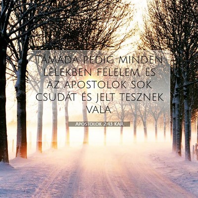 Picture 07 - Apostolok 2:43 KAR - Támada pedig minden lélekben félelem, és az - Bible Verse Picture