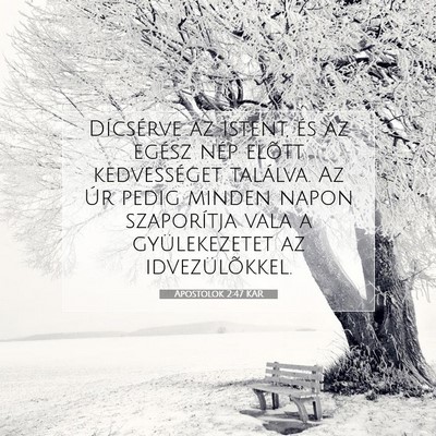 Picture 07 - Apostolok 2:47 KAR - Dícsérve az Istent, és az egész nép elõtt - Bible Verse Picture