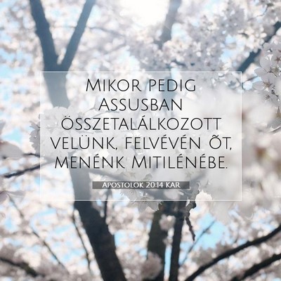 Picture 07 - Apostolok 20:14 KAR - Mikor pedig Assusban összetalálkozott velünk, - Bible Verse Picture