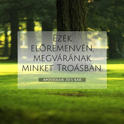 Picture 07 - Apostolok 20:5 KAR - Ezek elõremenvén, megvárának minket - Bible Verse Picture