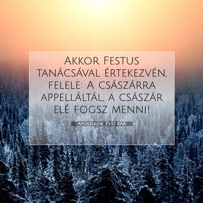 Picture 07 - Apostolok 25:12 KAR - Akkor Festus tanácsával értekezvén, felele: A - Bible Verse Picture