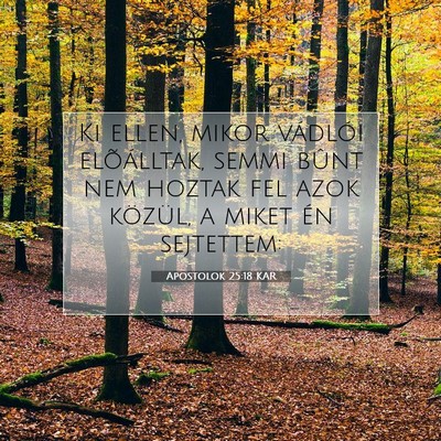 Picture 07 - Apostolok 25:18 KAR - Ki ellen, mikor vádlói elõálltak, semmi bûnt - Bible Verse Picture
