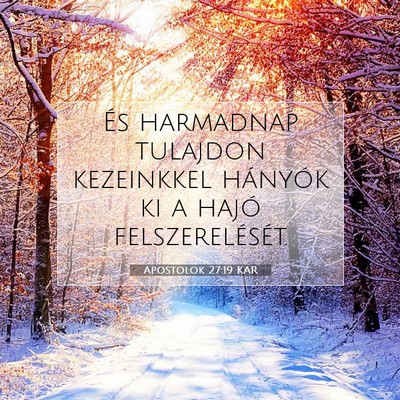 Picture 07 - Apostolok 27:19 KAR - És harmadnap tulajdon kezeinkkel hányók ki a - Bible Verse Picture