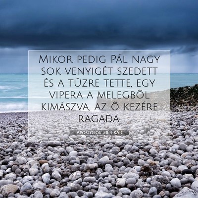 Picture 07 - Apostolok 28:3 KAR - Mikor pedig Pál nagy sok venyigét szedett és a - Bible Verse Picture