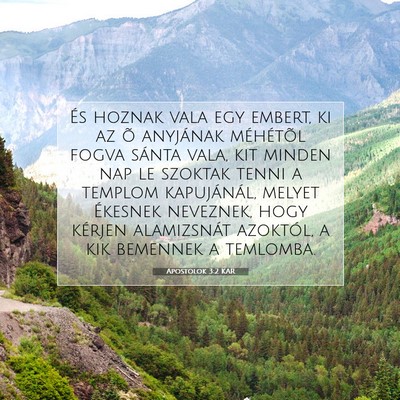 Picture 07 - Apostolok 3:2 KAR - És hoznak vala egy embert, ki az õ anyjának - Bible Verse Picture