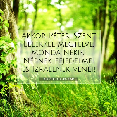 Picture 07 - Apostolok 4:8 KAR - Akkor Péter, Szent Lélekkel megtelve, monda - Bible Verse Picture