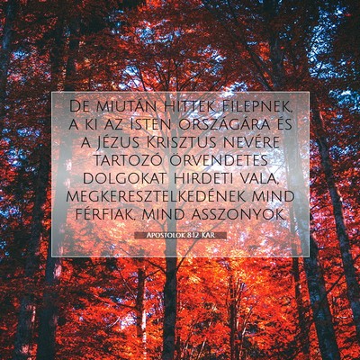 Picture 07 - Apostolok 8:12 KAR - De miután hittek Filepnek, a ki az Isten - Bible Verse Picture