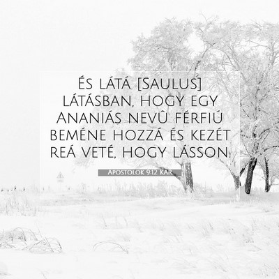 Picture 07 - Apostolok 9:12 KAR - És látá [Saulus] látásban, hogy egy Ananiás - Bible Verse Picture
