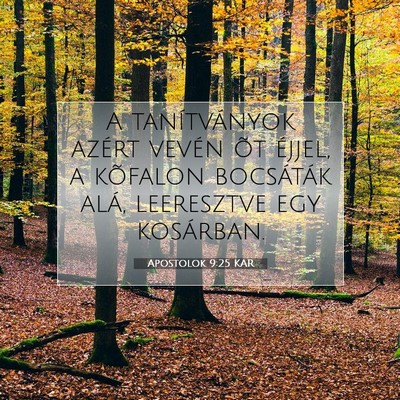 Picture 07 - Apostolok 9:25 KAR - A tanítványok azért vevén õt éjjel, a - Bible Verse Picture