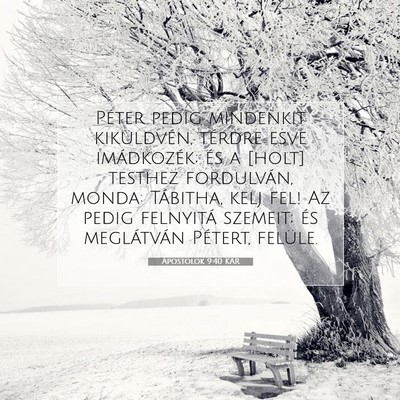 Picture 07 - Apostolok 9:40 KAR - Péter pedig mindenkit kiküldvén, térdre esve - Bible Verse Picture