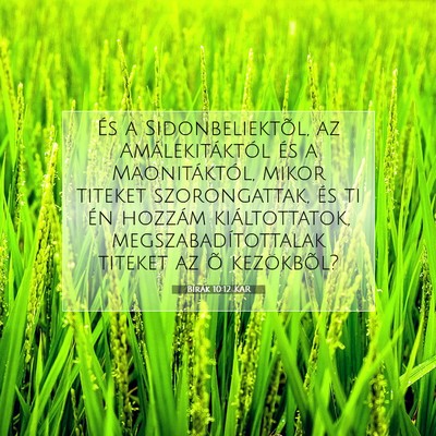 Picture 07 - Bírák 10:12 KAR - És a Sidonbeliektõl, az Amálekitáktól és a - Bible Verse Picture