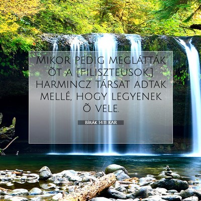 Picture 07 - Bírák 14:11 KAR - Mikor pedig meglátták õt a [Filiszteusok,] - Bible Verse Picture
