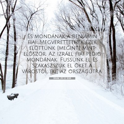 Picture 07 - Bírák 20:32 KAR - És mondának a Benjámin fiai: Megverettetnek - Bible Verse Picture