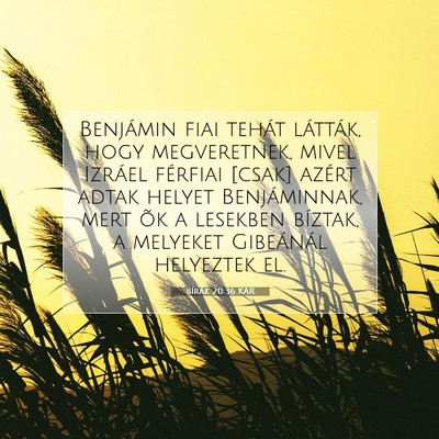 Picture 07 - Bírák 20:36 KAR - Benjámin fiai tehát látták, hogy megveretnek, - Bible Verse Picture