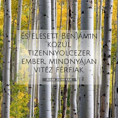 Picture 07 - Bírák 20:44 KAR - És elesett Benjámin közül tizennyolcezer - Bible Verse Picture