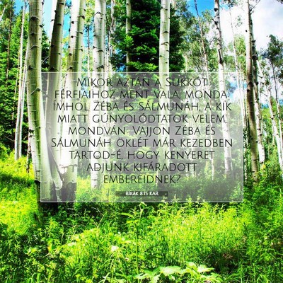 Picture 07 - Bírák 8:15 KAR - Mikor aztán a Sukkót férfiaihoz ment vala, - Bible Verse Picture