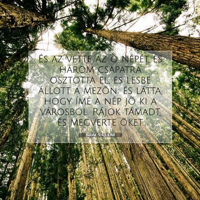 Picture 07 - Bírák 9:43 KAR - És az vette az õ népét, és három csapatra - Bible Verse Picture