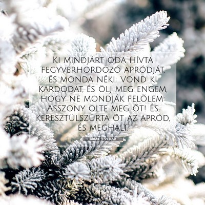 Picture 07 - Bírák 9:54 KAR - Ki mindjárt oda hívta fegyverhordozó - Bible Verse Picture