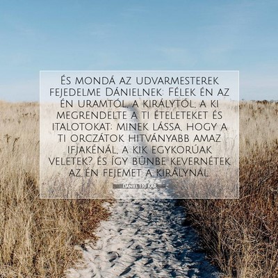 Picture 07 - Dániel 1:10 KAR - És mondá az udvarmesterek fejedelme Dánielnek: - Bible Verse Picture