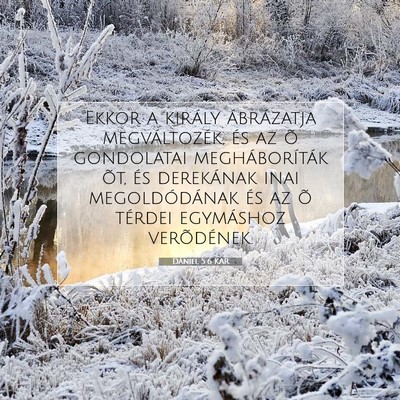 Picture 07 - Dániel 5:6 KAR - Ekkor a király ábrázatja megváltozék, és az - Bible Verse Picture