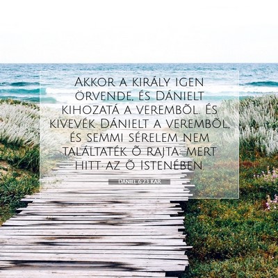 Picture 07 - Dániel 6:23 KAR - Akkor a király igen örvende, és Dánielt - Bible Verse Picture