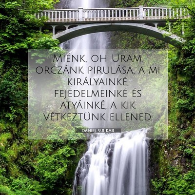 Picture 07 - Dániel 9:8 KAR - Miénk, oh Uram, orczánk pirulása, a mi - Bible Verse Picture