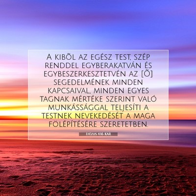 Picture 07 - Efézus 4:16 KAR - A kibõl az egész test, szép renddel - Bible Verse Picture