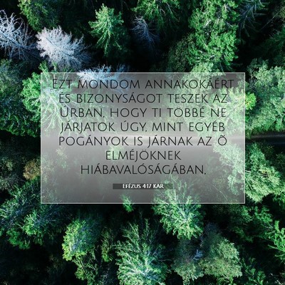 Picture 07 - Efézus 4:17 KAR - Ezt mondom annakokáért és bizonyságot teszek - Bible Verse Picture